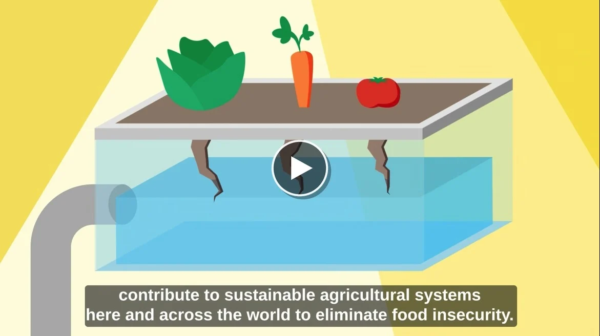 A cartoon shows a pipe connected to a glass tank with water. On top, lettuce, a carrot, and a tomato grow from soil. Cracks reach down toward the water. Subtitles read: contribute to sustainable agricultural systems....